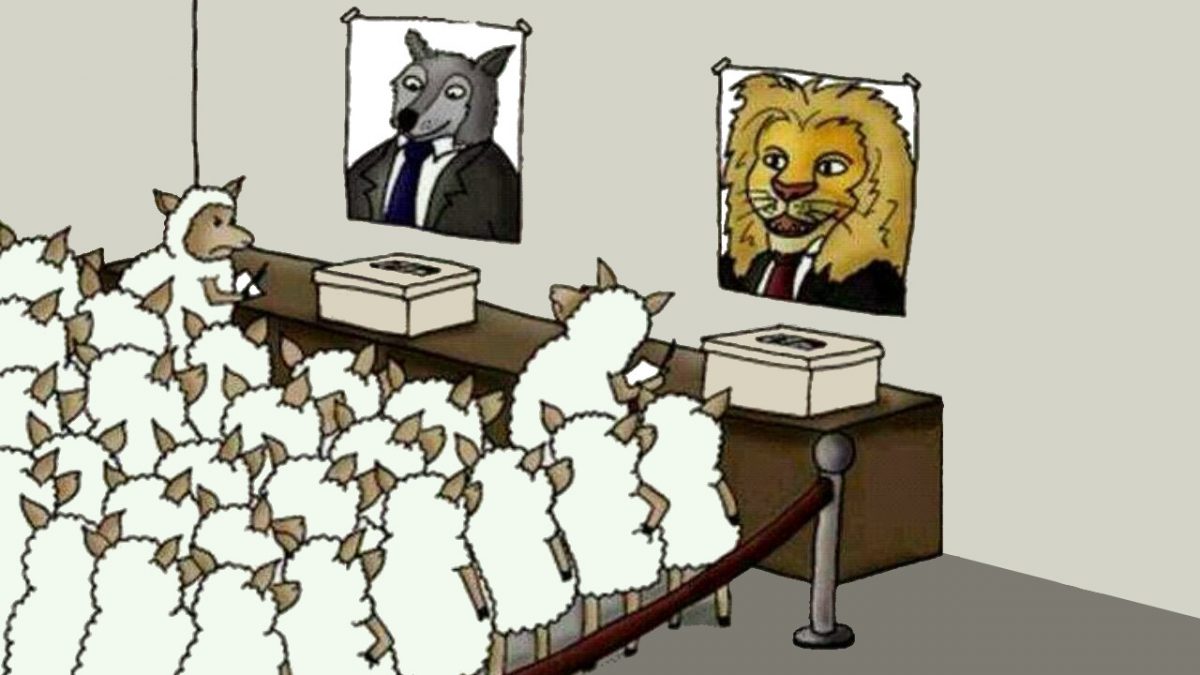 Lesser-of-Two-Evil-Voting-Sheep-Voting-for-Wolf-or-Lion.jpg